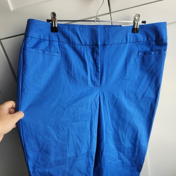 Ann Taylor Factory Blue The Crop Curvy Fit Pants 8 - Picture 2 of 9